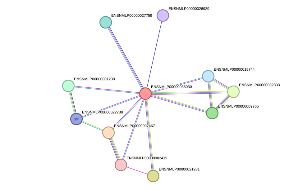 STRING protein interaction network