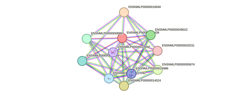 STRING protein interaction network