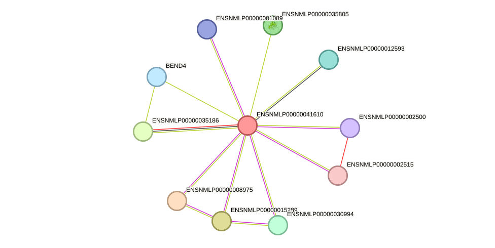 STRING protein interaction network