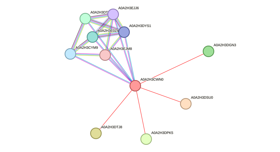 STRING protein interaction network