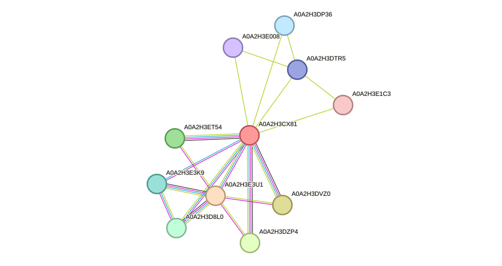 STRING protein interaction network