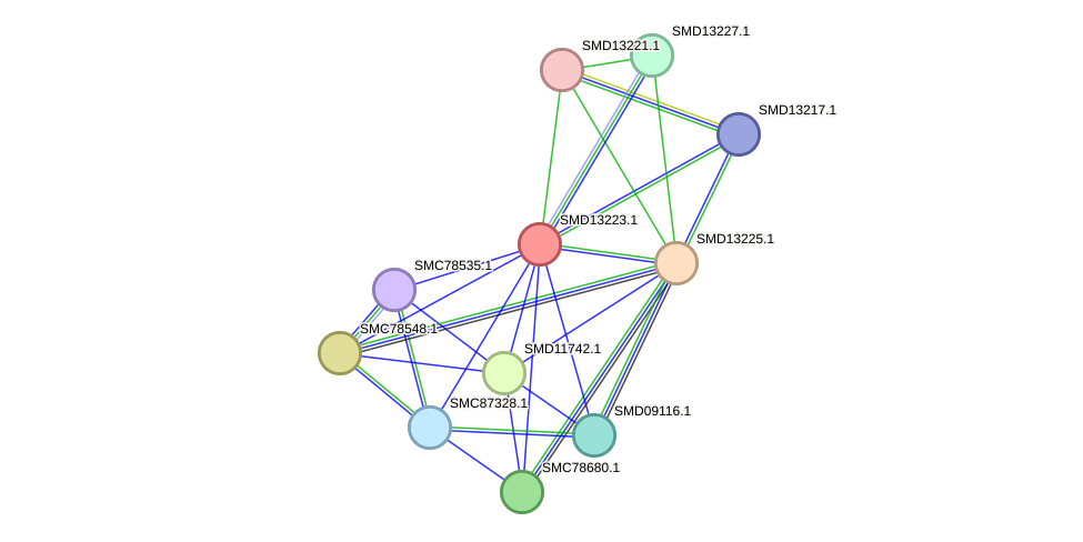 STRING protein interaction network