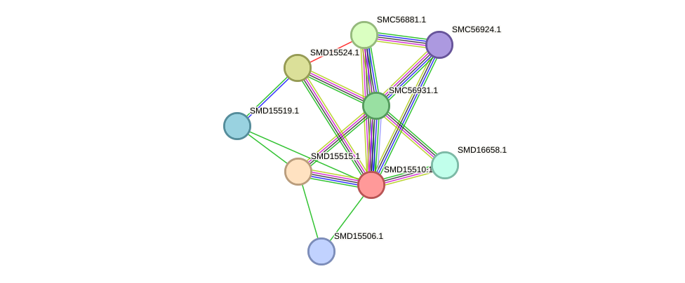 STRING protein interaction network