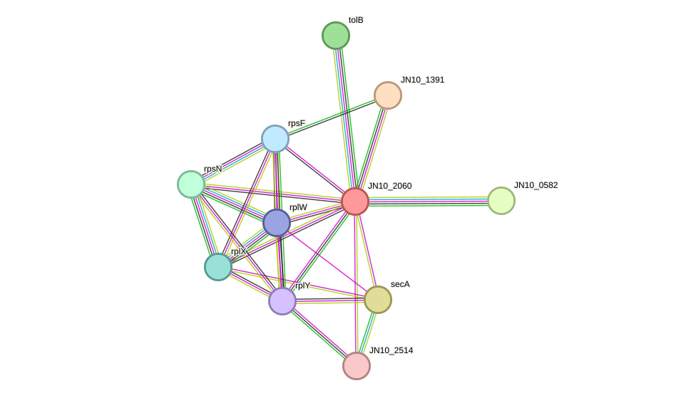 STRING protein interaction network