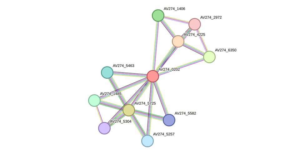 STRING protein interaction network