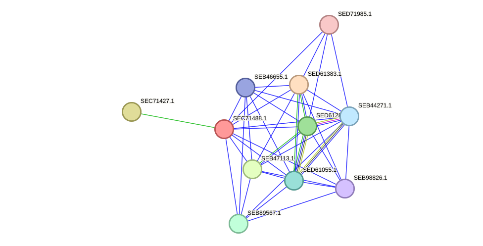 STRING protein interaction network