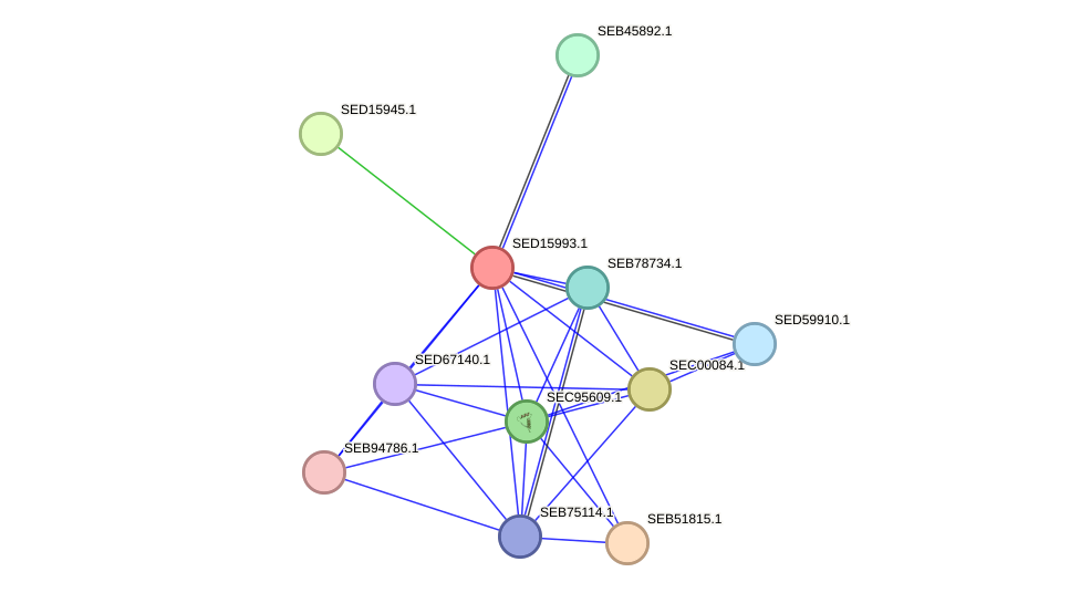 STRING protein interaction network