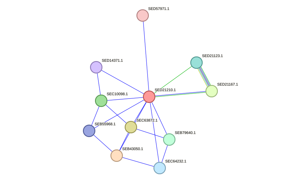 STRING protein interaction network