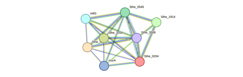 STRING protein interaction network