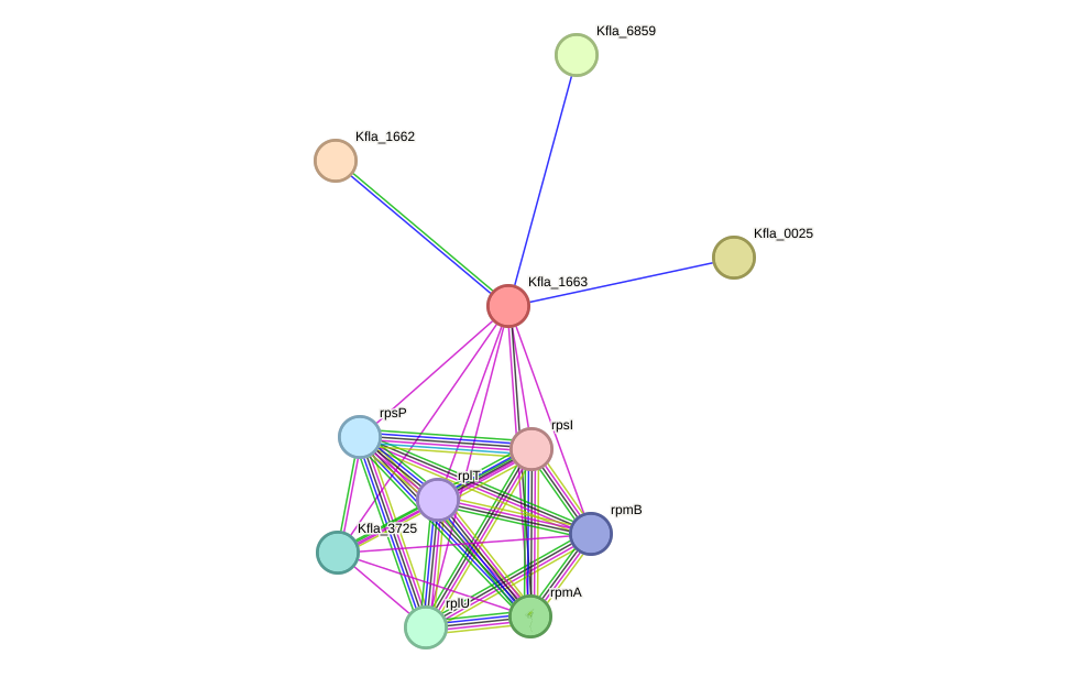 STRING protein interaction network