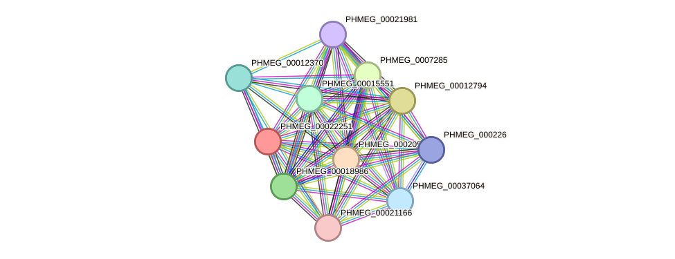 STRING protein interaction network