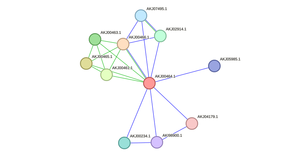STRING protein interaction network