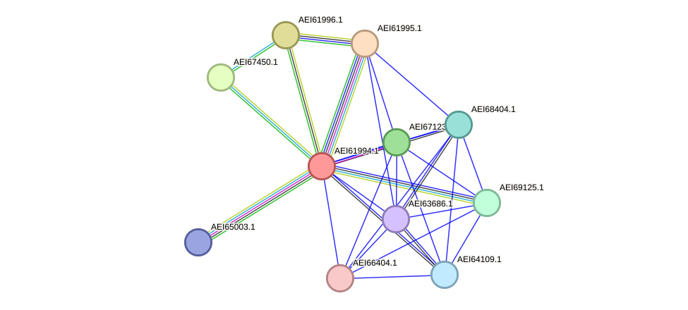 STRING protein interaction network