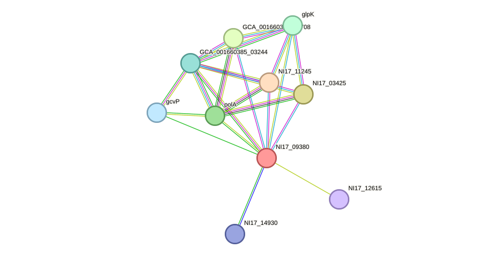 STRING protein interaction network