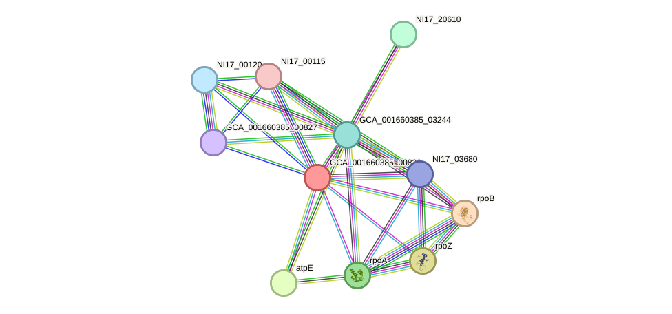 STRING protein interaction network