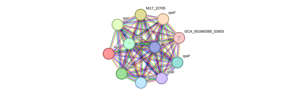 STRING protein interaction network