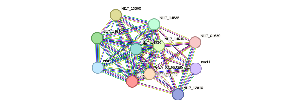 STRING protein interaction network