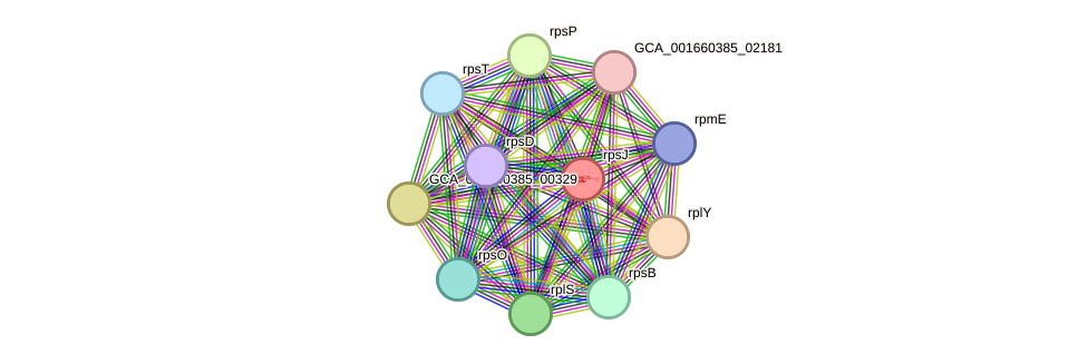 STRING protein interaction network