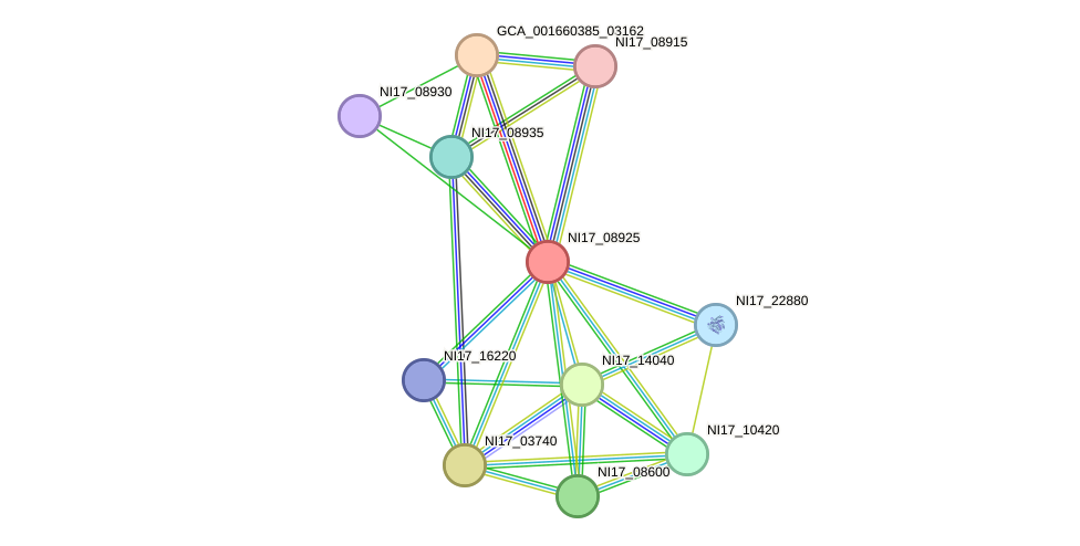 STRING protein interaction network