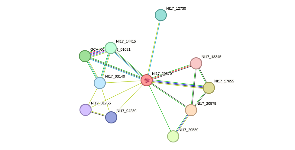 STRING protein interaction network