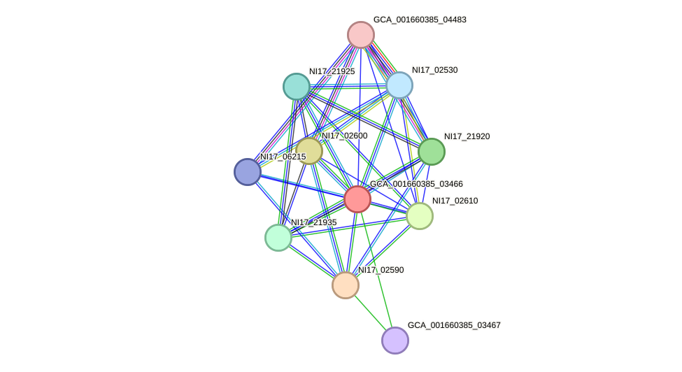 STRING protein interaction network