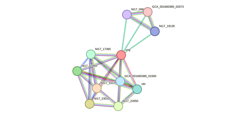 STRING protein interaction network