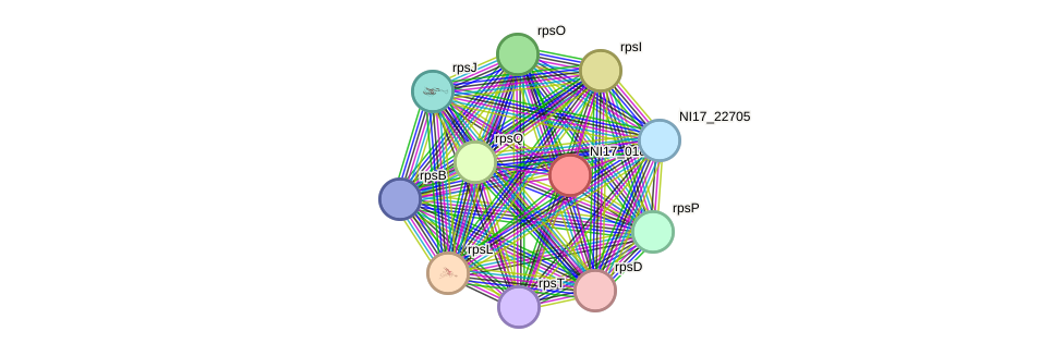 STRING protein interaction network