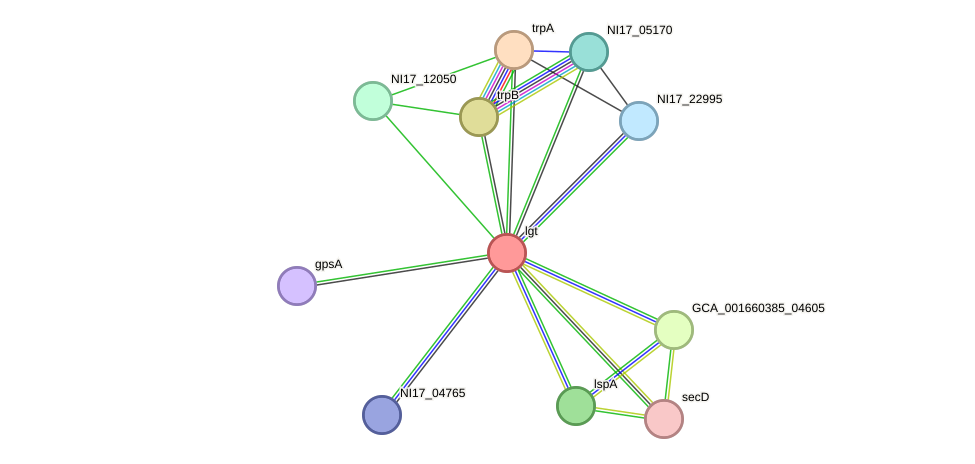 STRING protein interaction network