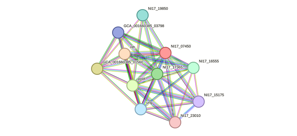 STRING protein interaction network