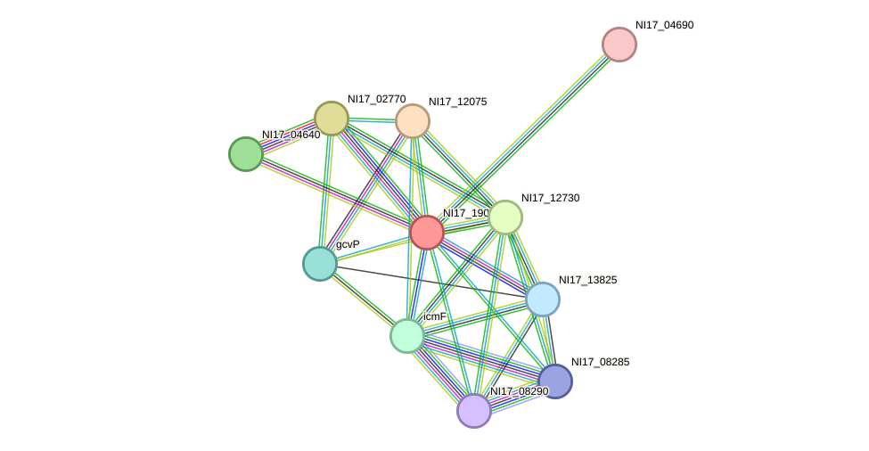 STRING protein interaction network