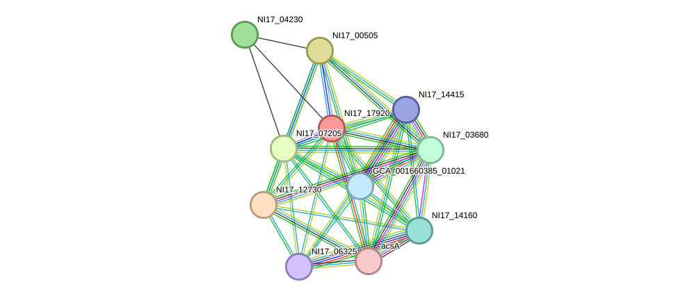 STRING protein interaction network