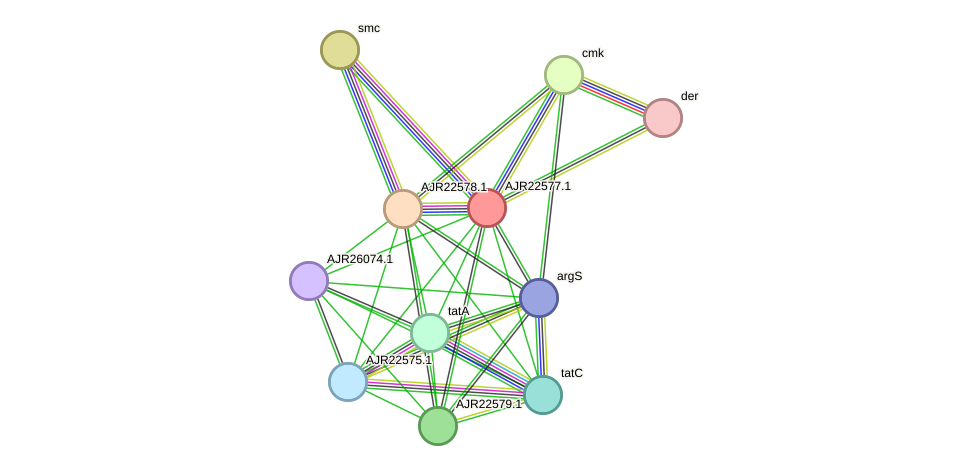 STRING protein interaction network