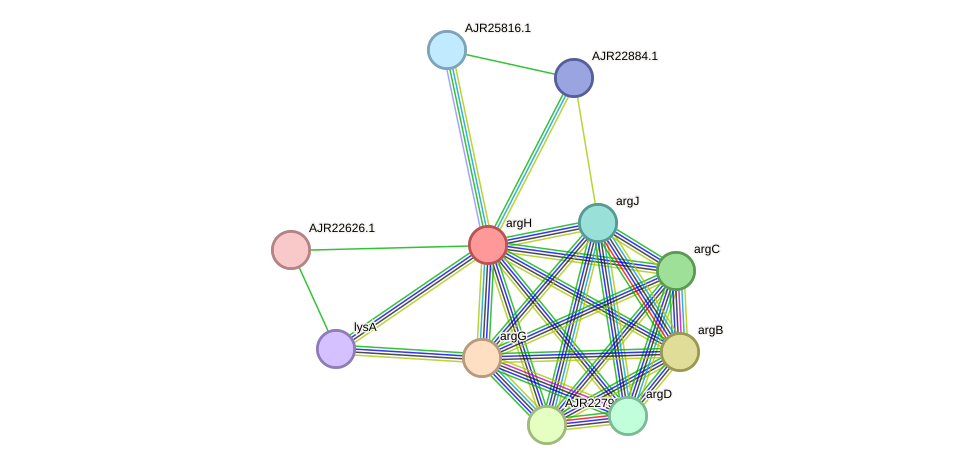 STRING protein interaction network
