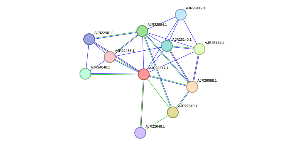 STRING protein interaction network