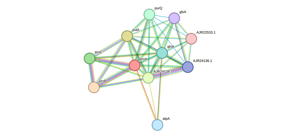 STRING protein interaction network