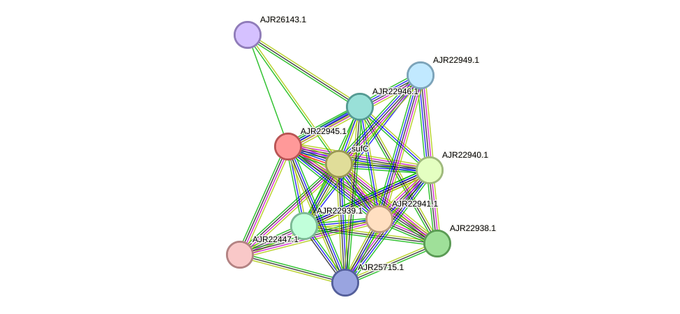 STRING protein interaction network