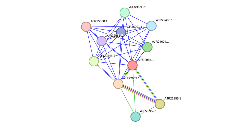 STRING protein interaction network