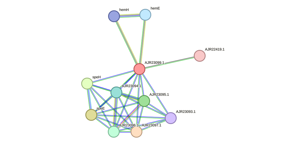 STRING protein interaction network