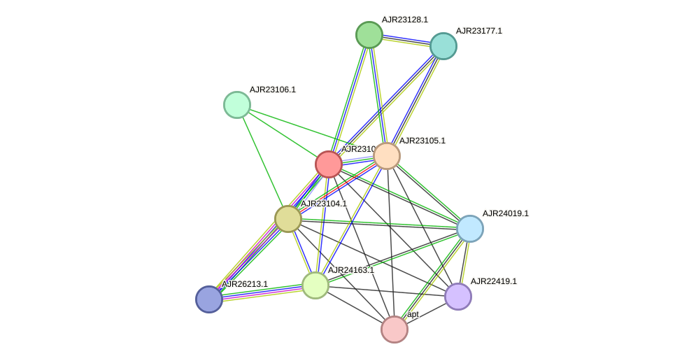 STRING protein interaction network