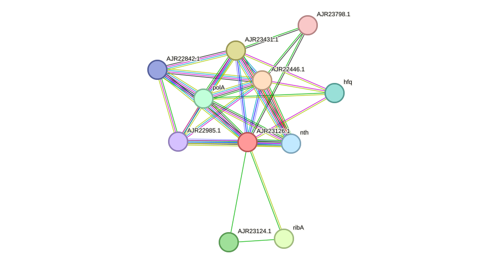 STRING protein interaction network