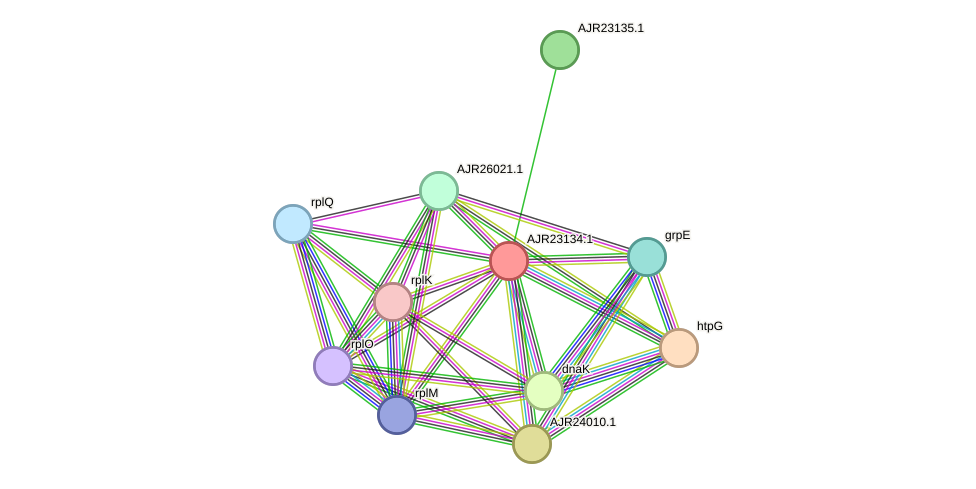 STRING protein interaction network