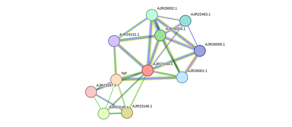 STRING protein interaction network