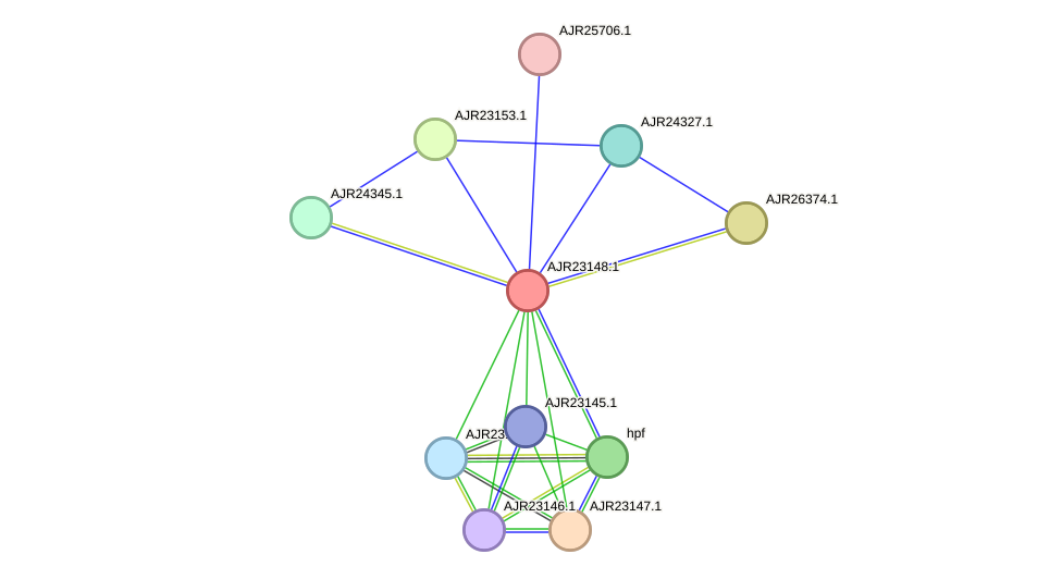 STRING protein interaction network