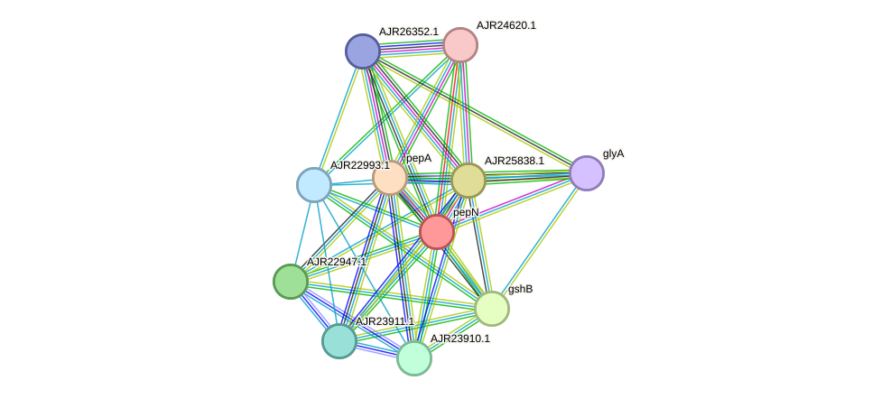 STRING protein interaction network