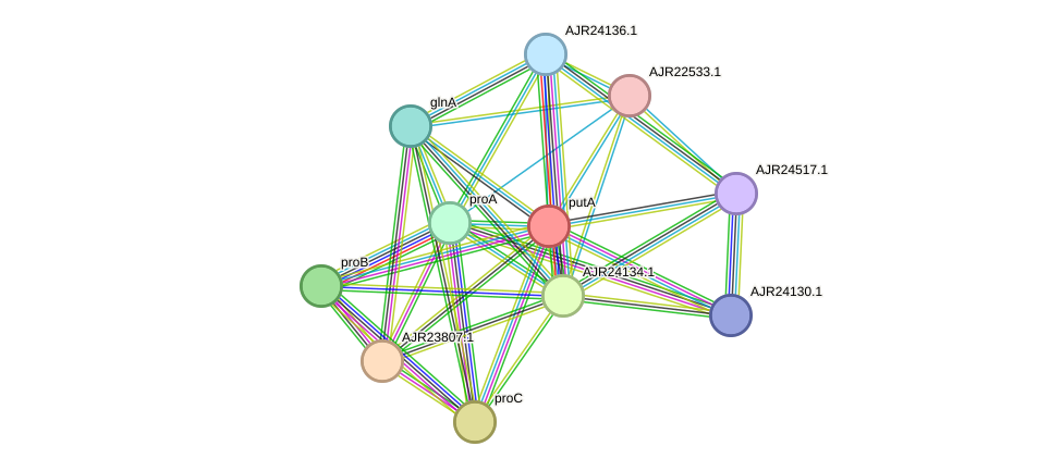 STRING protein interaction network