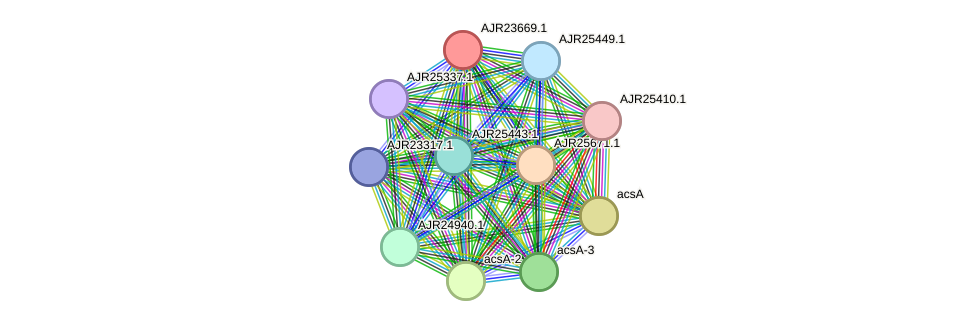 STRING protein interaction network