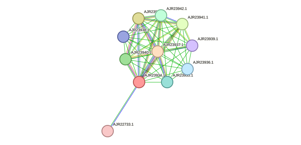 STRING protein interaction network