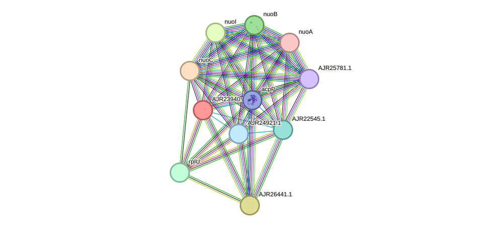 STRING protein interaction network