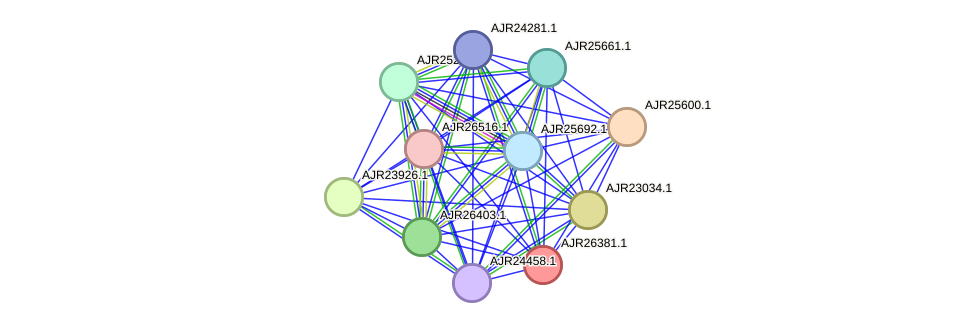 STRING protein interaction network