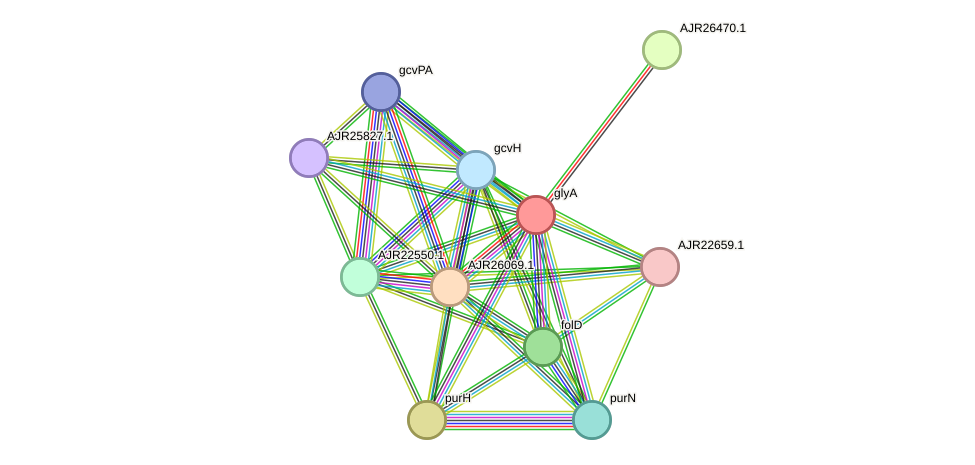 STRING protein interaction network